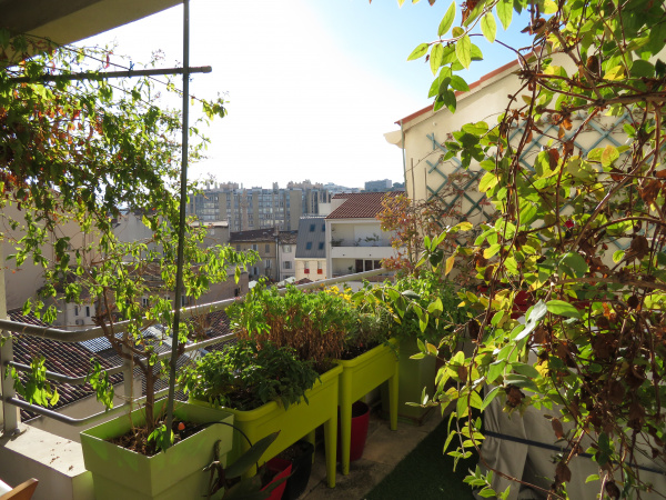 Offres de vente Duplex Marseille 13006